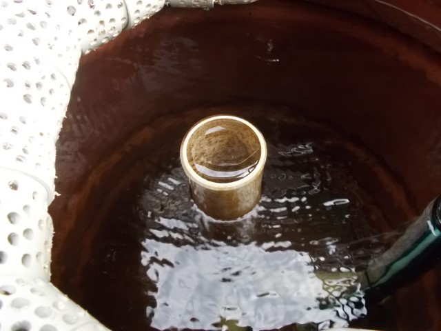 DSCN1880 (Small).jpeg