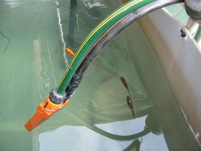 S6302765 (Large) (Medium).JPG