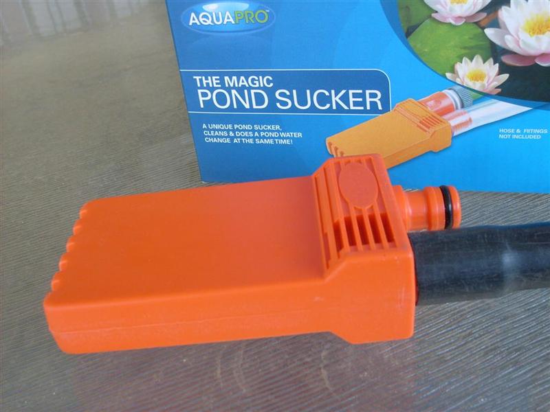 S6302721 (Large) (Medium).JPG