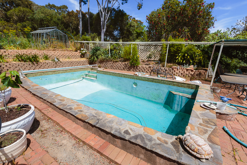 Pool-before-pond-20181103.jpg