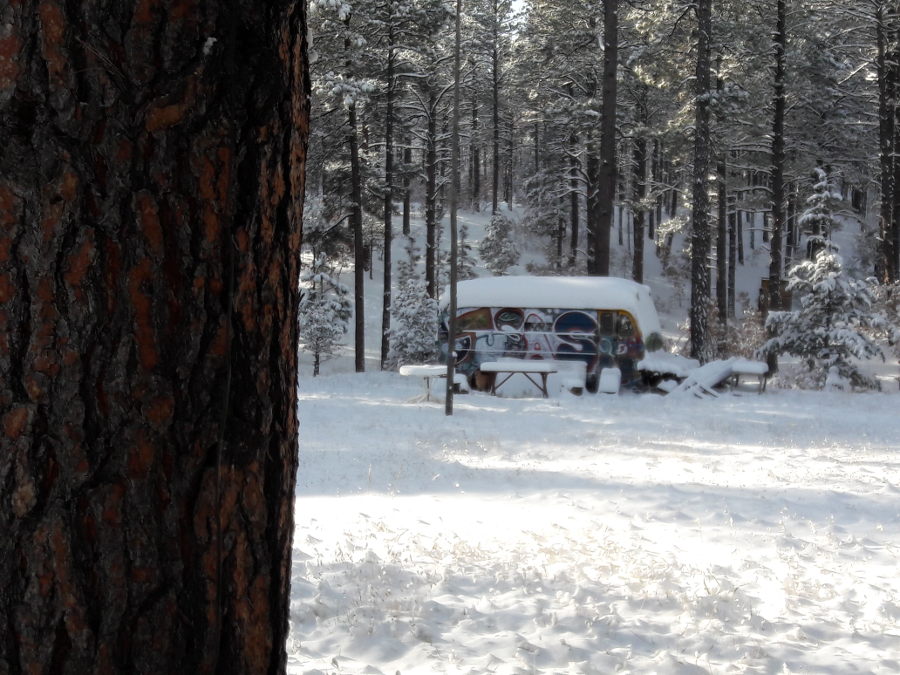 Hike-in-fresh-snow-Tusas-Bus-Ponderosa-Pine-11-12-18.jpg