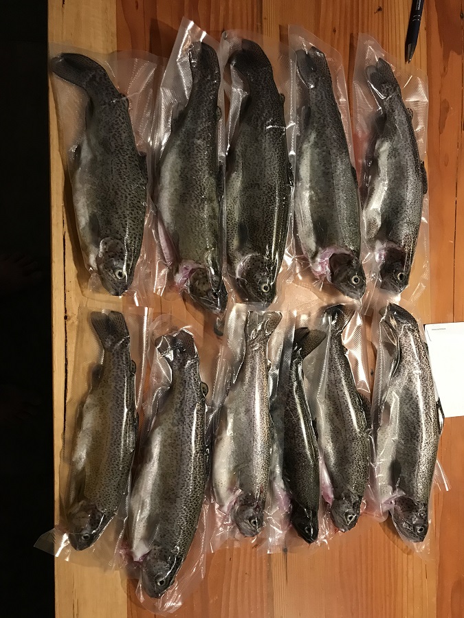Vacuum Trout.jpg