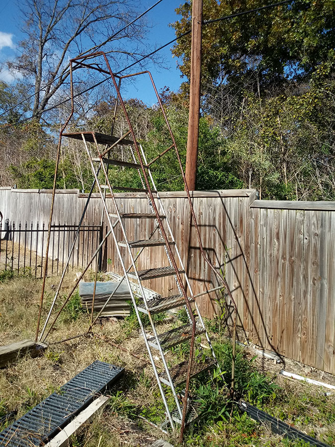 Ladder_2.jpg