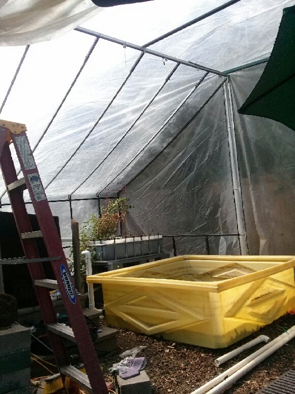 greenhouse_2015_04.jpg