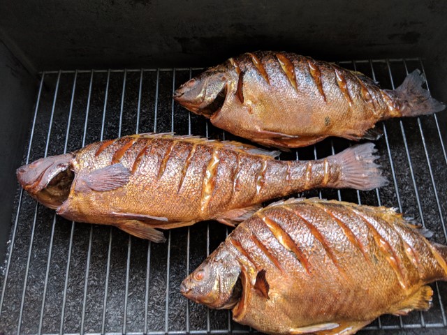 IMG_20190123_192549 (Small).jpg