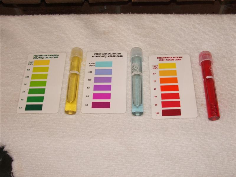 DSCF2653 (Medium).JPG