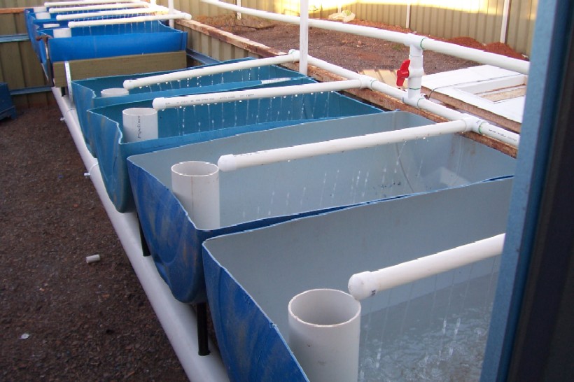 Gnash next system 022.jpg