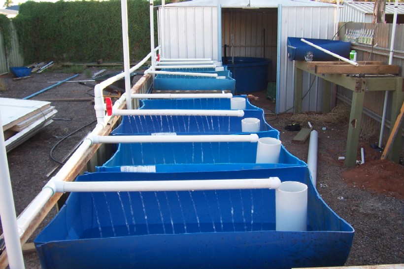 Gnash next system 024.jpg