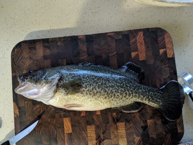 IMG_20190226_190058 (Small).jpg