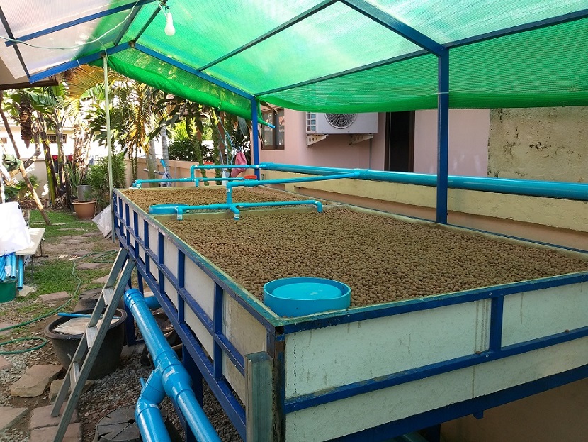 E-F Grow Bed.jpg