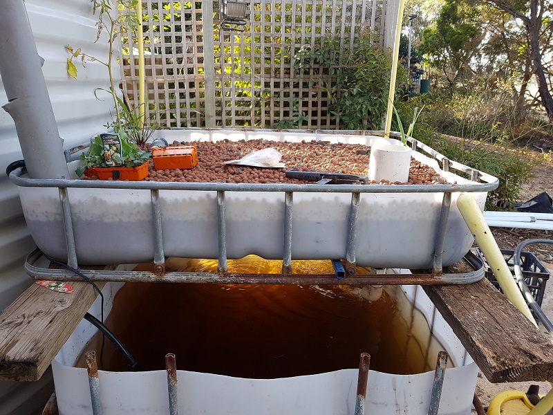 IMG_20190420_160128 (1).jpg