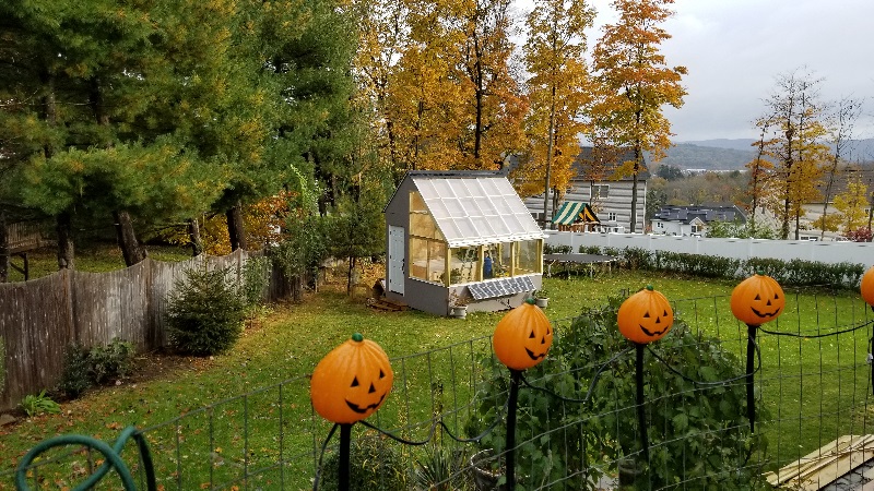 20181029_092546 (002).jpg