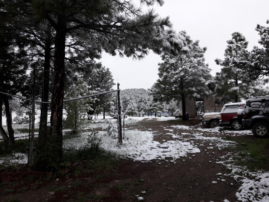 May-snow-2019-front-entrance.jpg