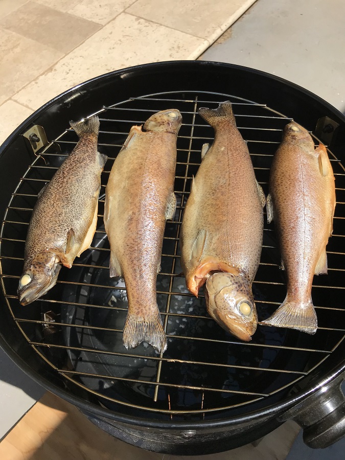 190523 Smoked Trout.jpg