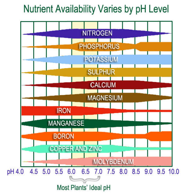 nutrient-availability-chart.jpg