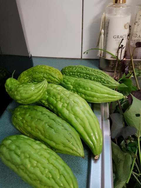 27973122_1536062103129749_3103377705154987861_n (Small).jpg