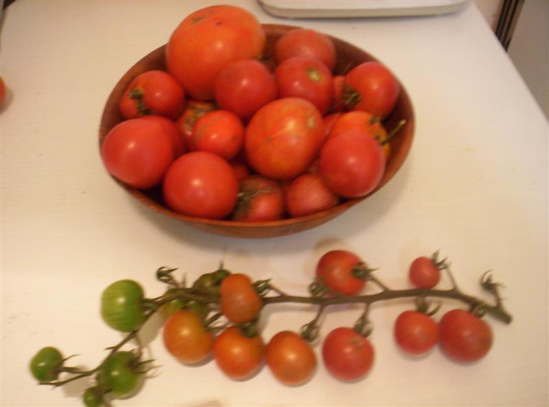 104_3101 (Medium).jpg