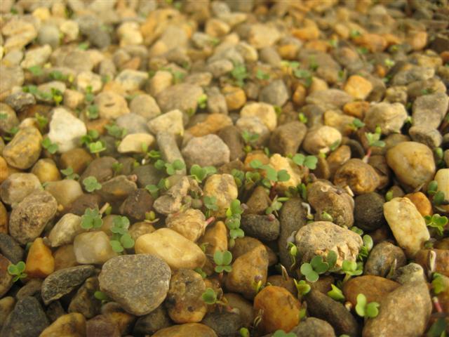 IMG_0359 (Small).jpg