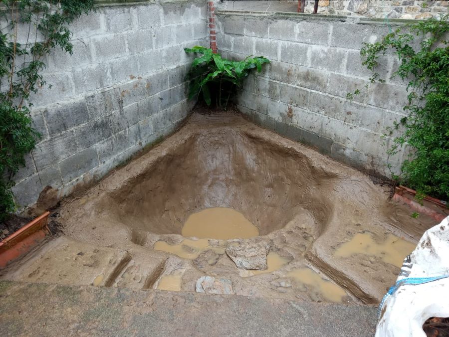 finished pond shape.jpg