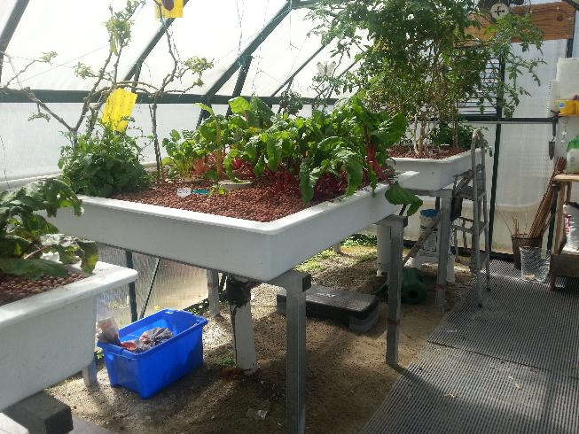Grow Beds 2.jpg
