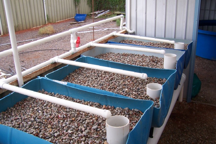 Gnash next system 005.jpg