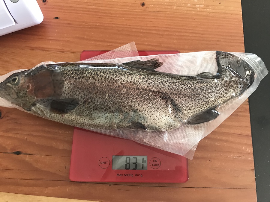 191120 trout harvest 830g.jpg