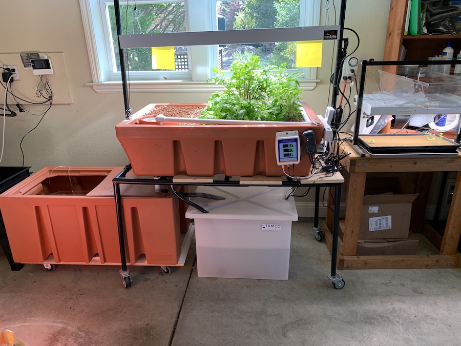 aquaponics1.jpg