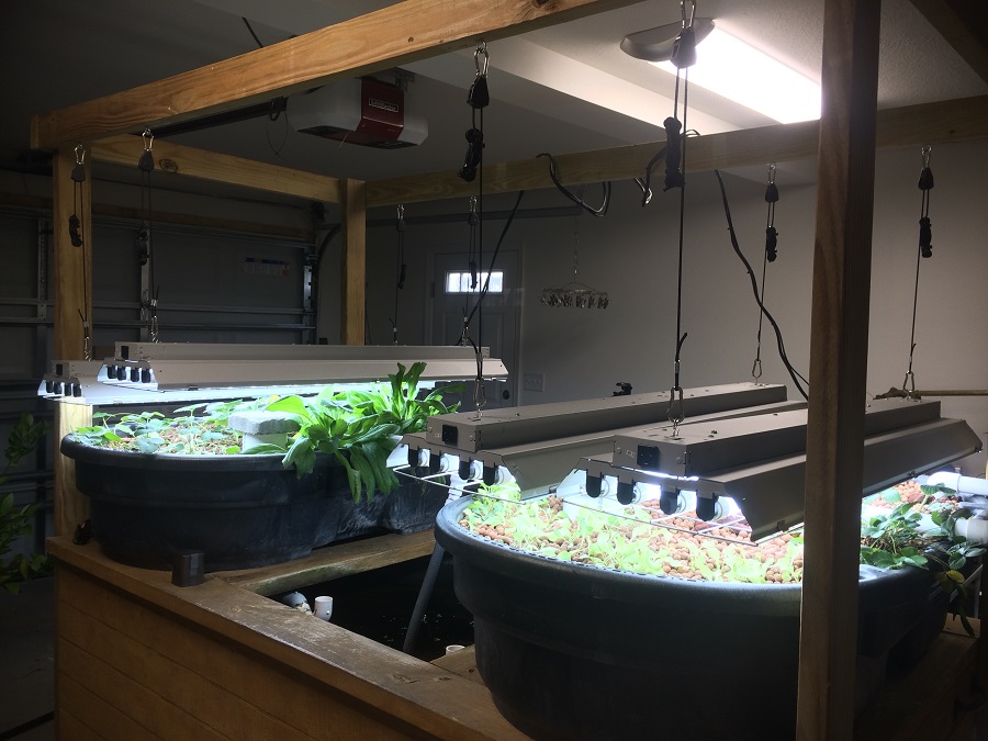 Aquaponic lights.JPG