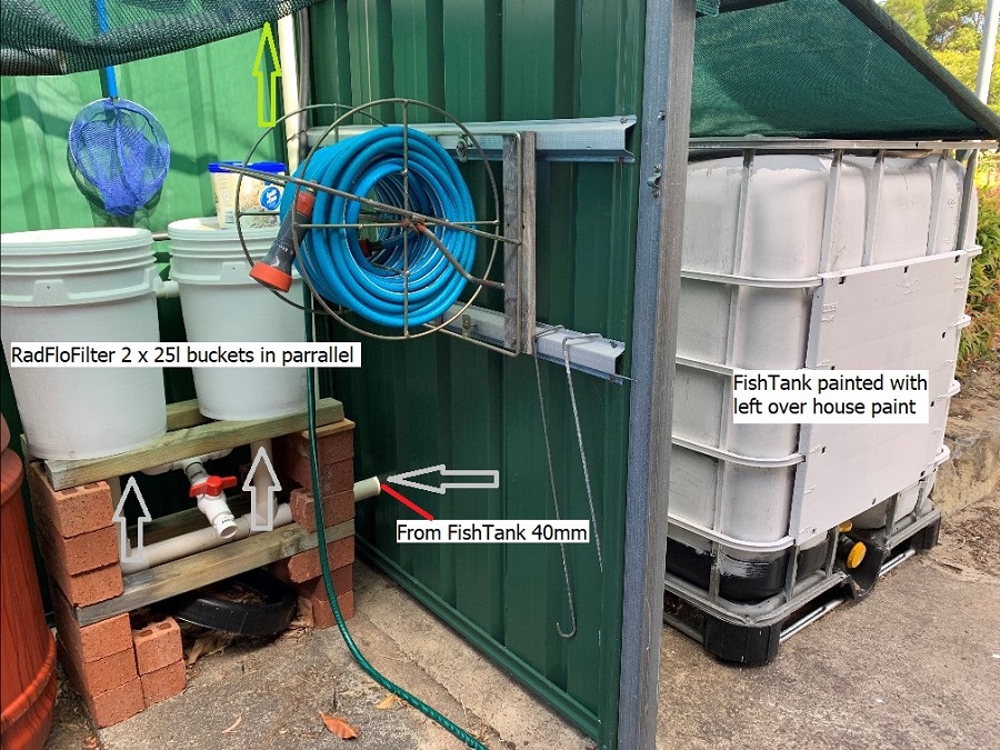03 FishTank and RadFloFilt.jpg