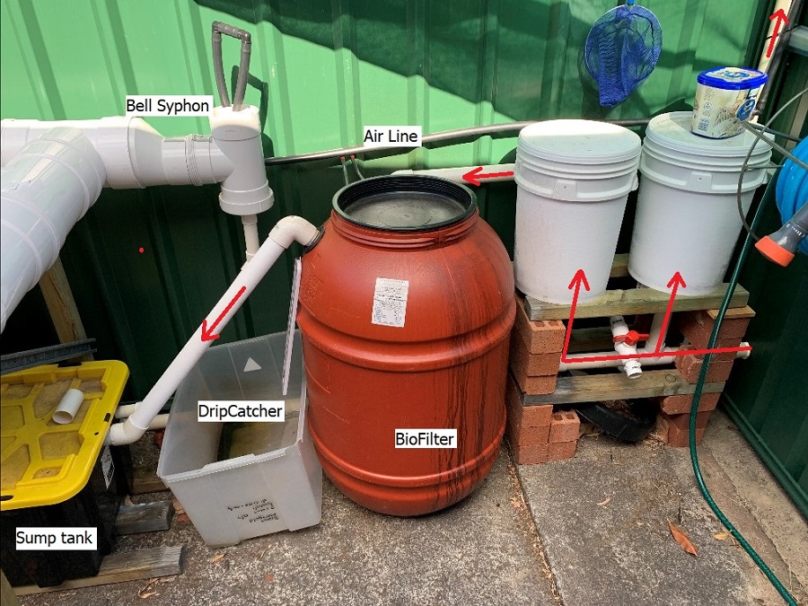 04 BellSyphon BioFilt RadFloFilt.jpg