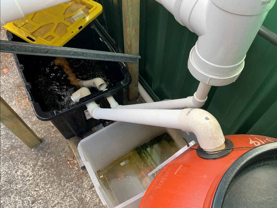 11 Syphon BioFilt Plumb Sump.jpg