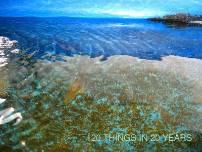 120 Things in 20 years - Aquaponics - BYAP Photo comp 2010 .jpg