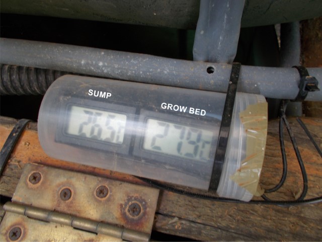 thermometer (Small).jpg