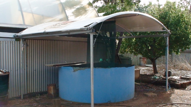 Dcover over trout tank (640x360).jpg