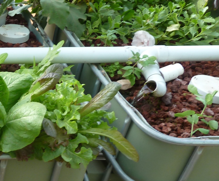 AAA 50mm Pipe Elbow adjust.JPG