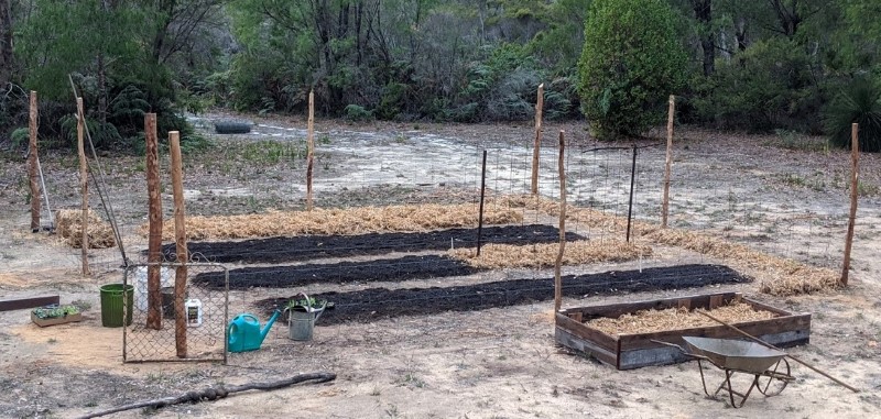 IMG_20200405_172105 (Custom).jpg