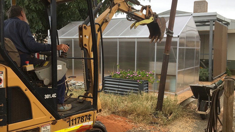 Greenhouse 1.jpg