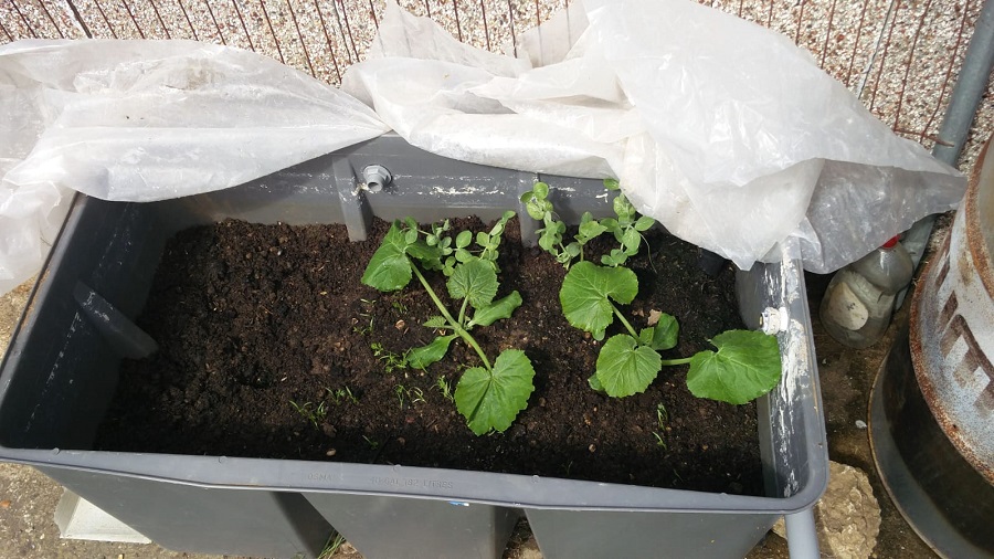 WhatsApp Image 2020-05-02 at 12.08.33.jpeg