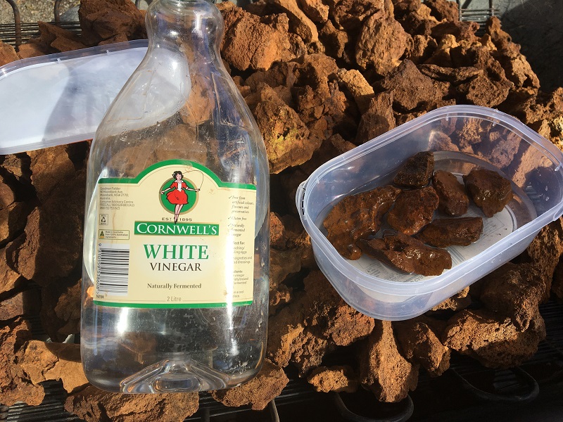 Vinegar.jpg