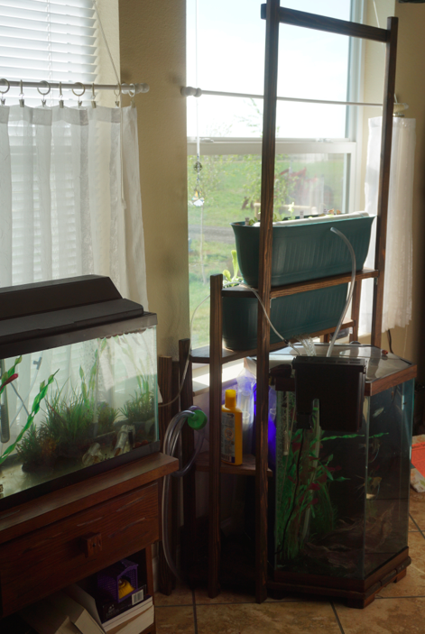 Screen Shot 2020-05-13 at 11.36.01 PM.png