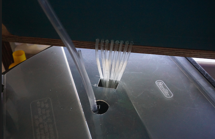 Screen Shot 2020-05-14 at 12.35.24 AM.png