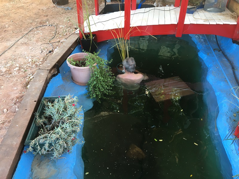 Cleaning the pond.jpg