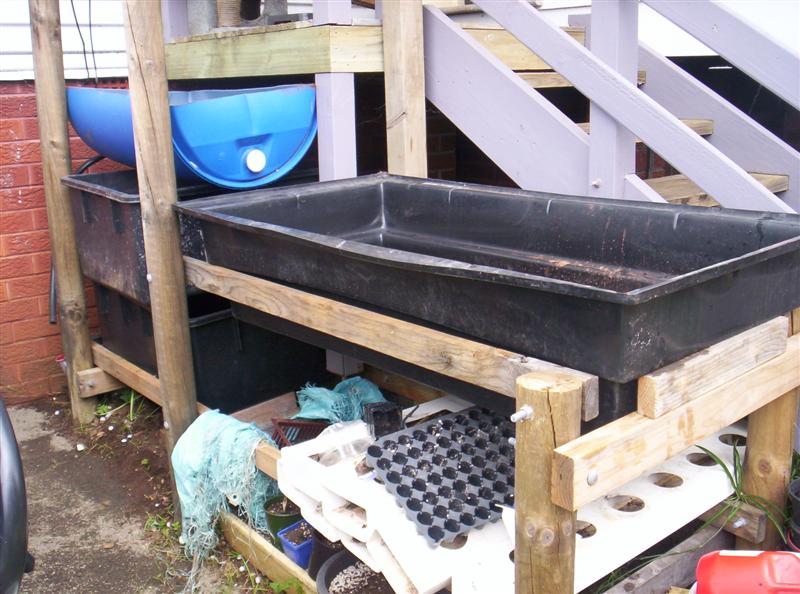 104_3106 (Medium).JPG