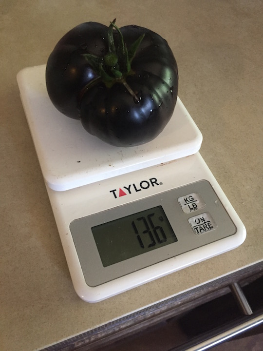 black beauty tomato weight.jpg