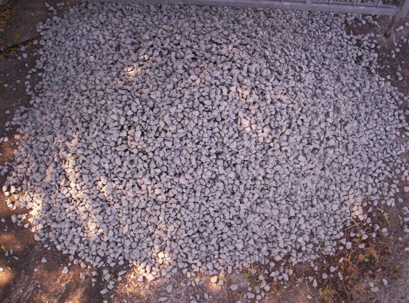 104_3087 (Medium).JPG