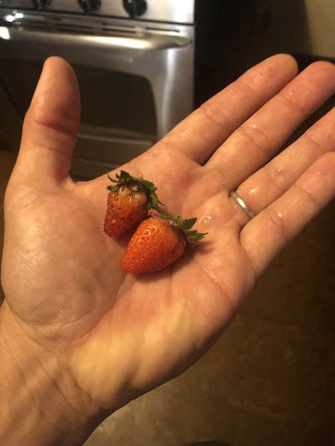strawberries.jpg