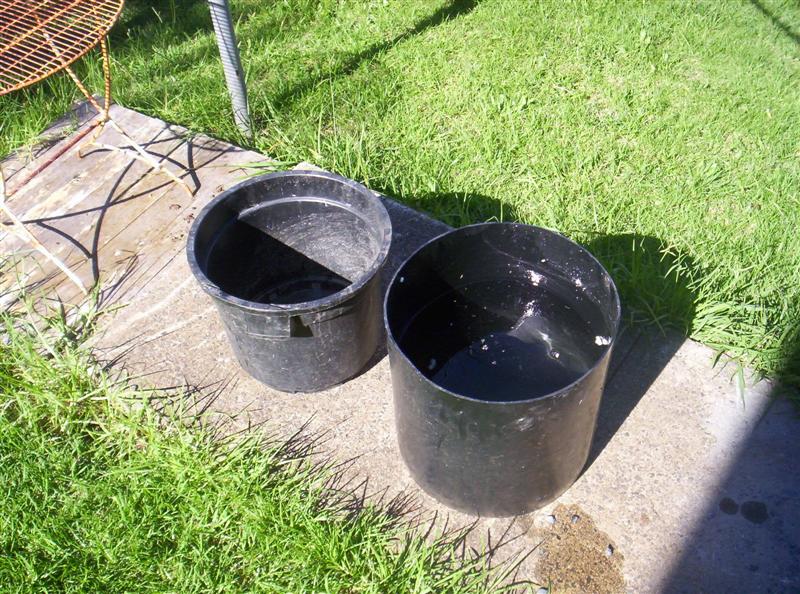 104_3095 (Medium).JPG