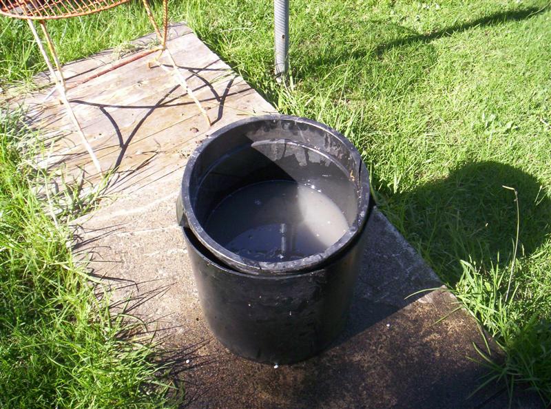 104_3097 (Medium).JPG