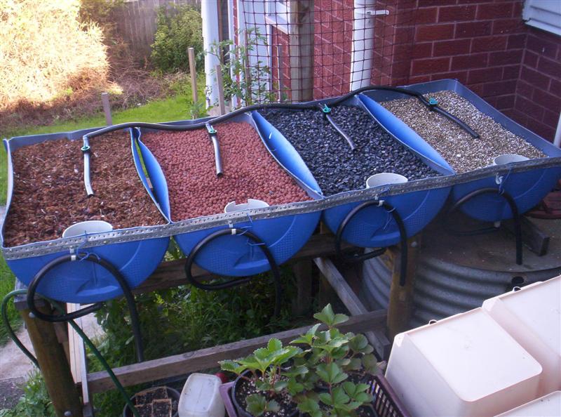 104_3098 (Medium).JPG