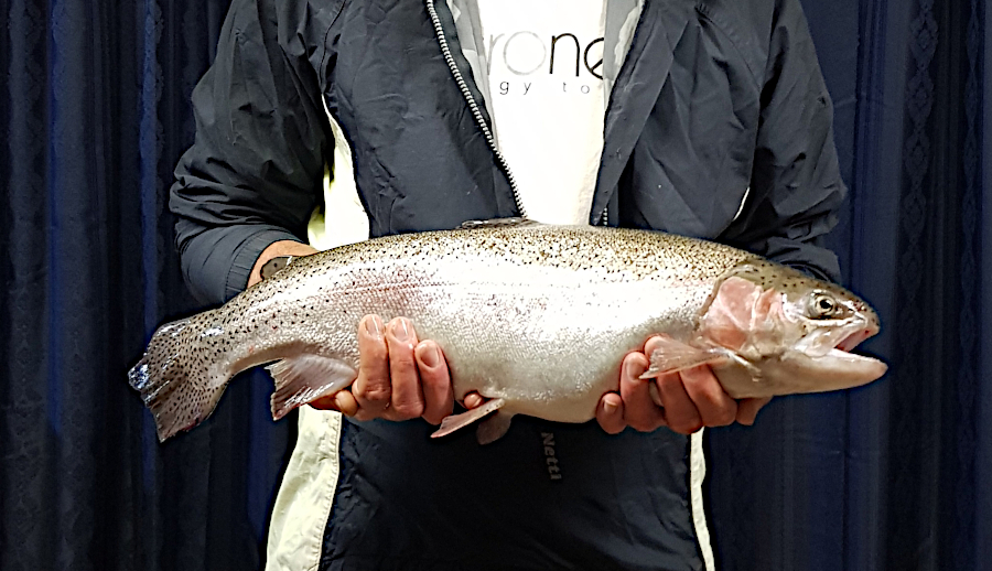 2735g-trout20201015.jpg